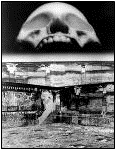 Surreal Photography - Skull and Wall